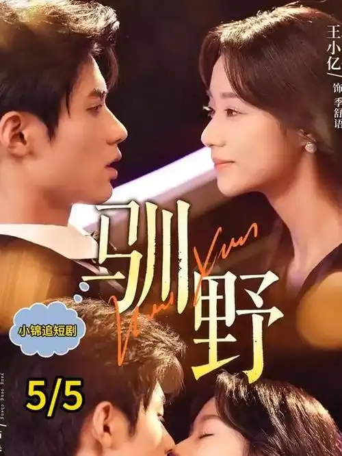 万家灯火录 都市群像剧海报